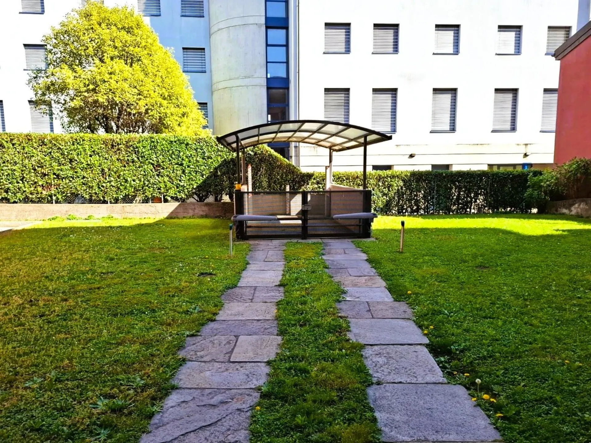 Image 8