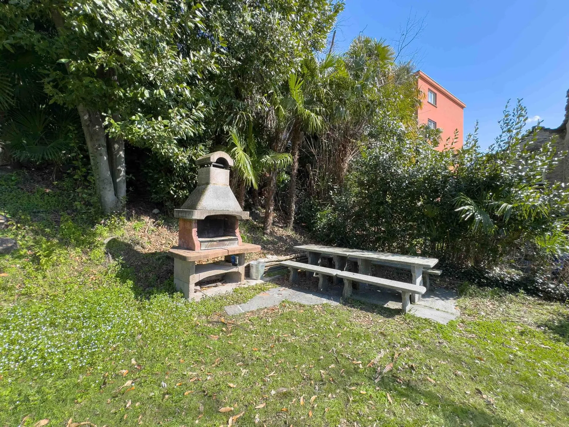 Image 8