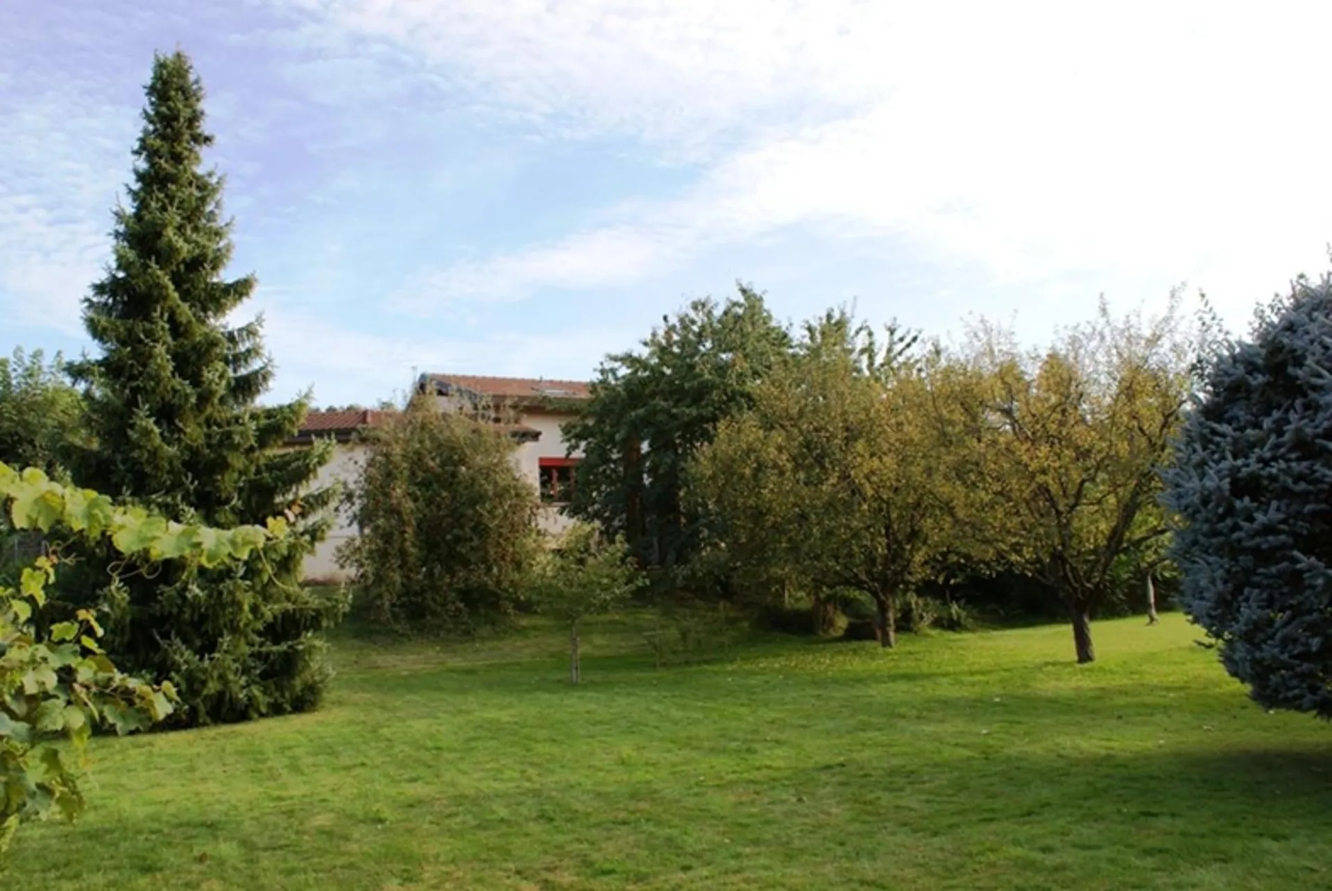 Image 21