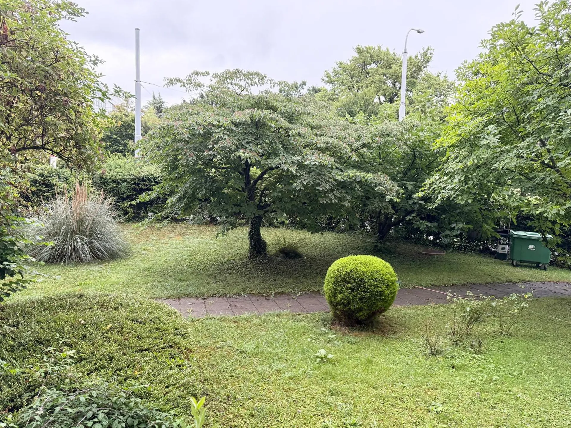Image 13