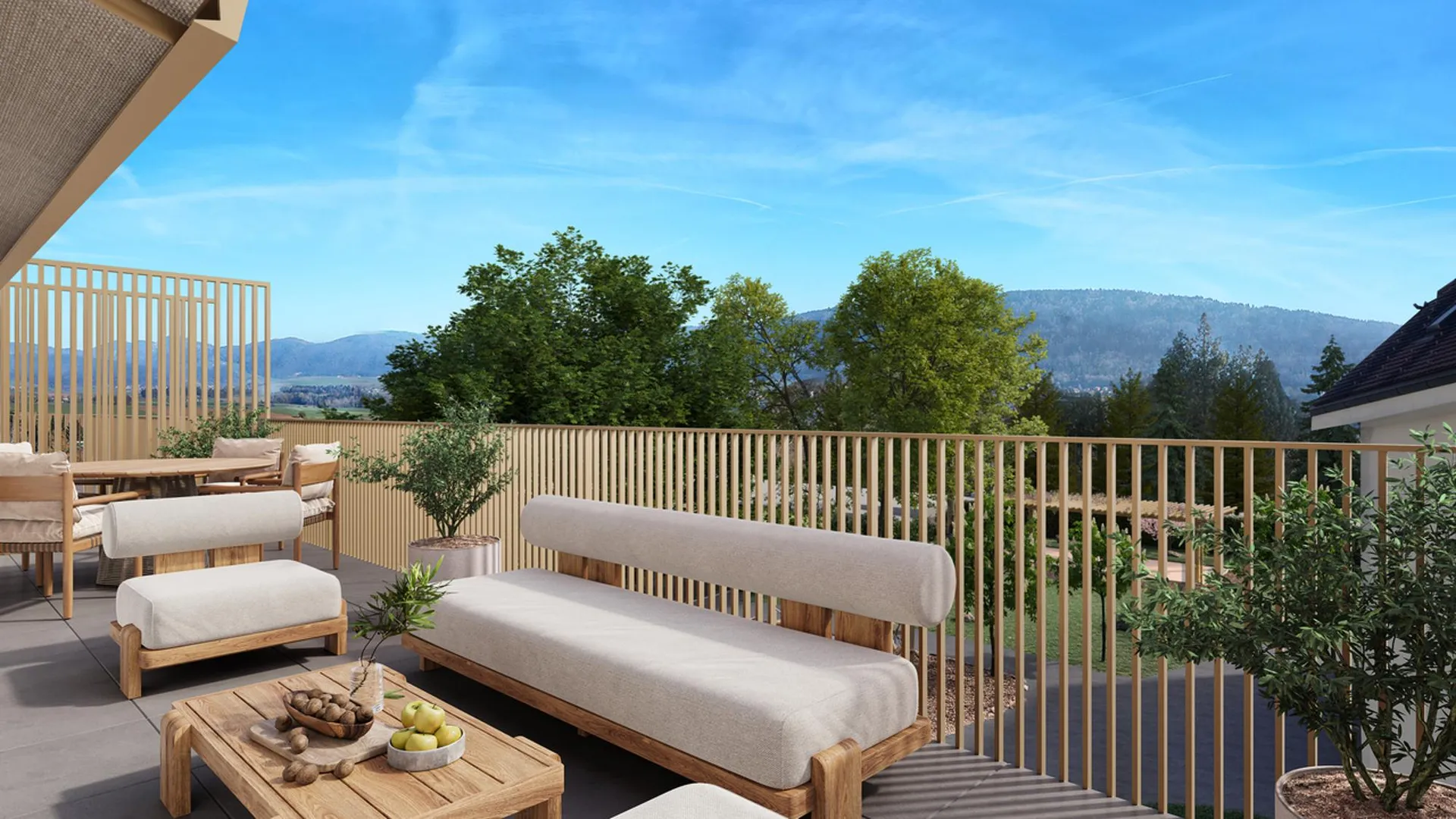 Immagine 6