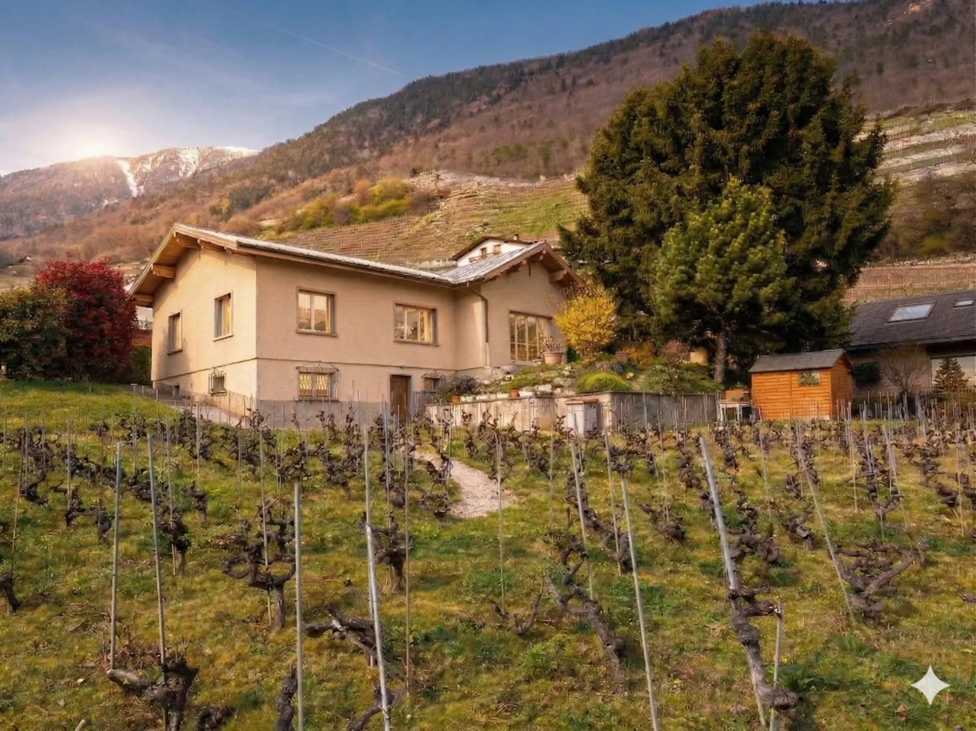 Grande maison avec jardin sur Martigny ! Terrain constructible !