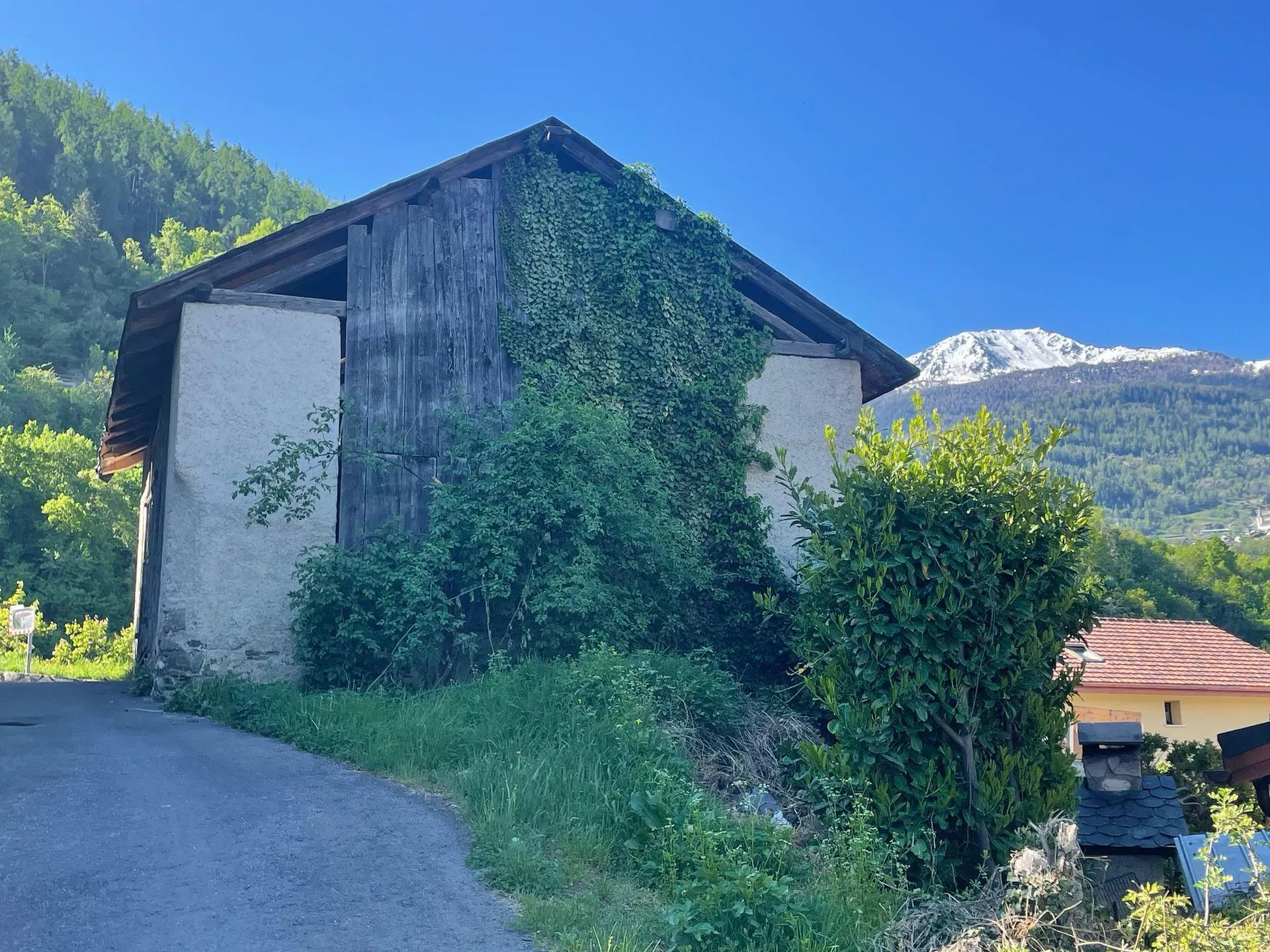 Image 6