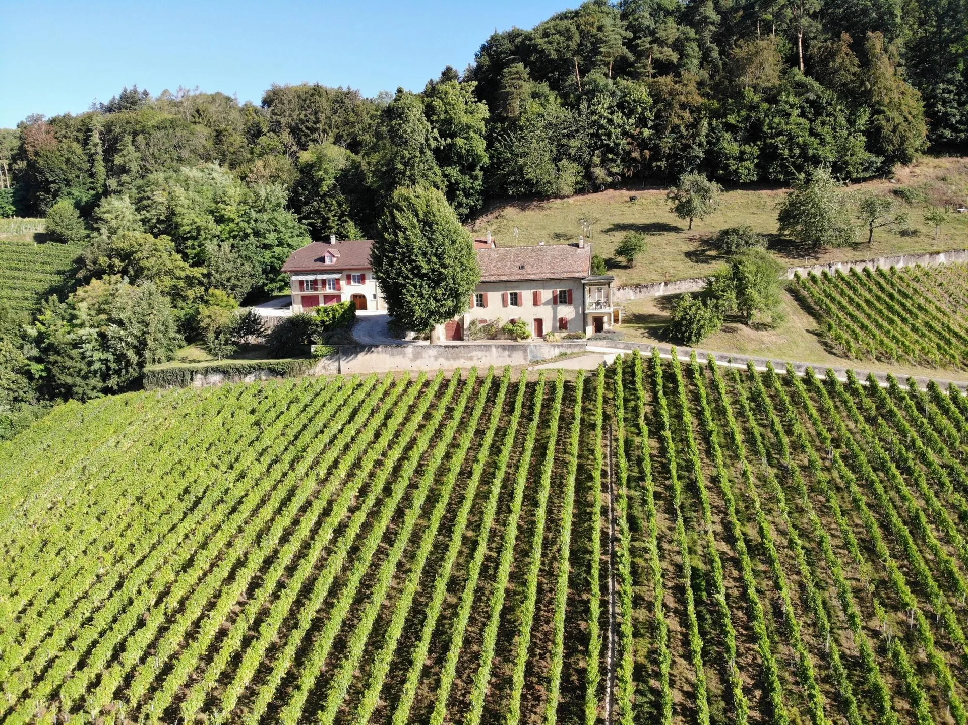 1184 Luins - Domaine viticole avec forêt, vue imprenable lac