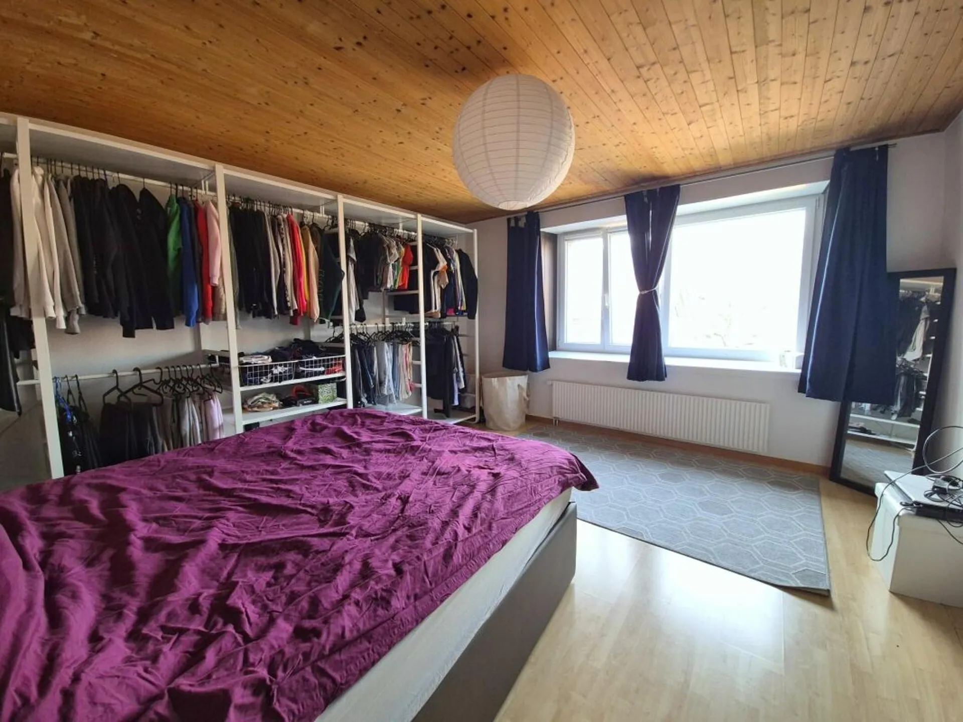 Bild 7