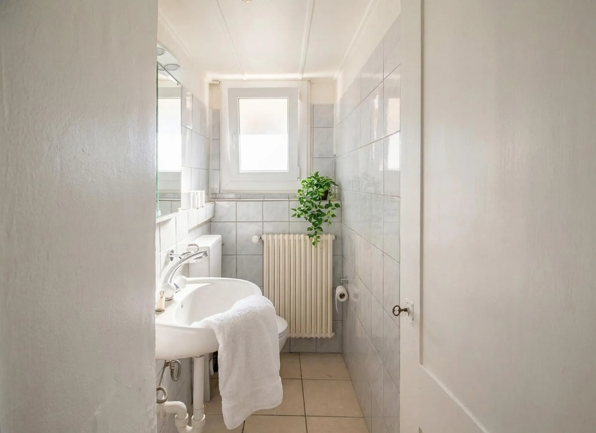 Image 7