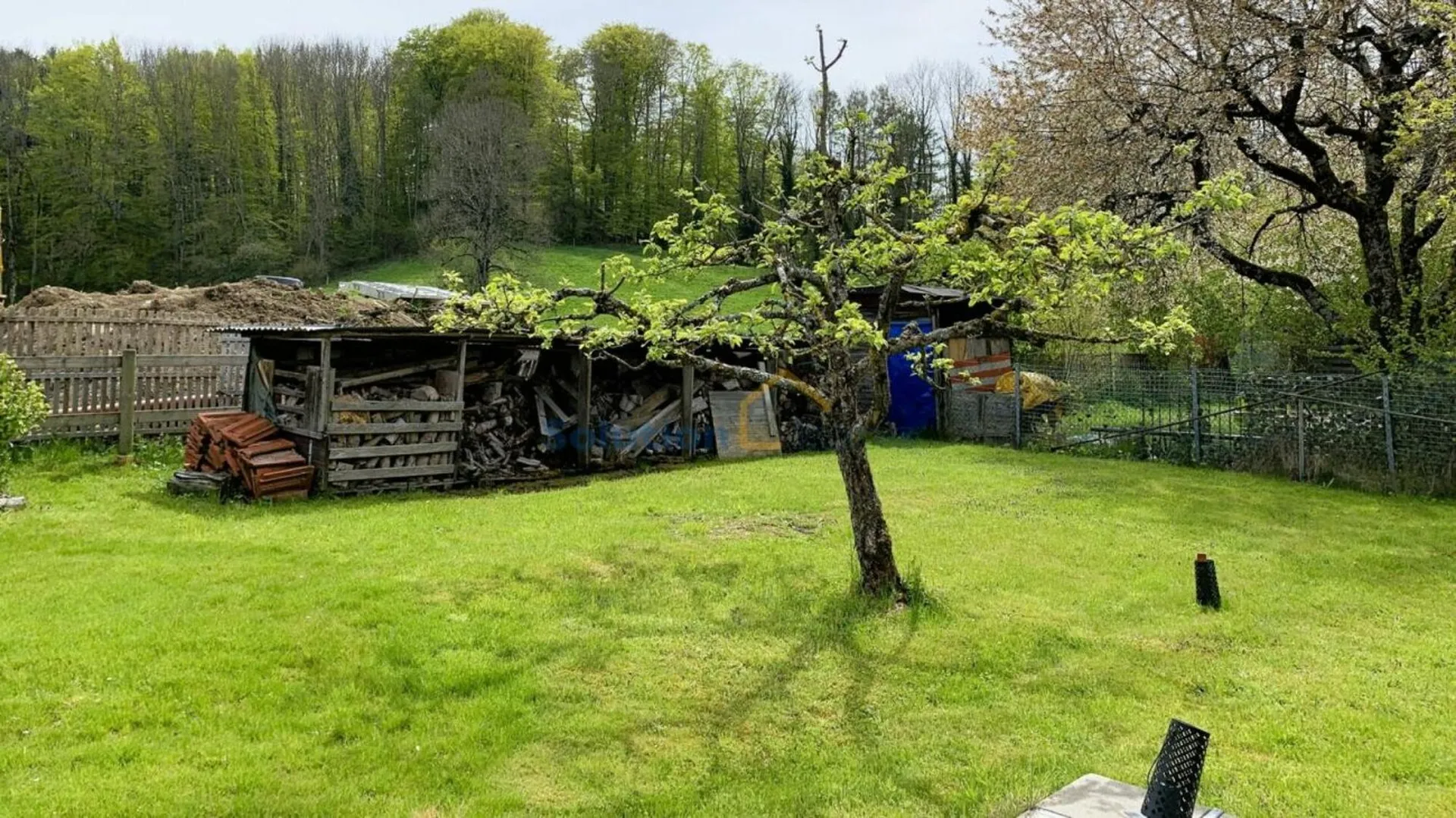 Image 12