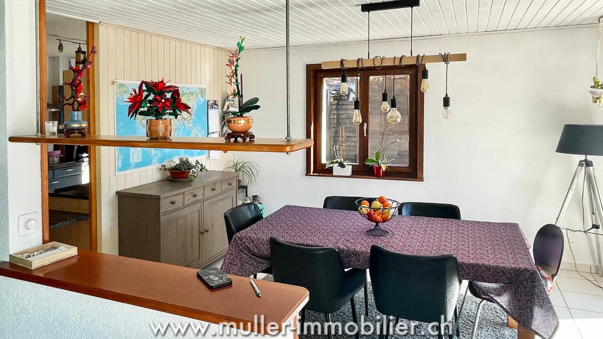 Immagine 6