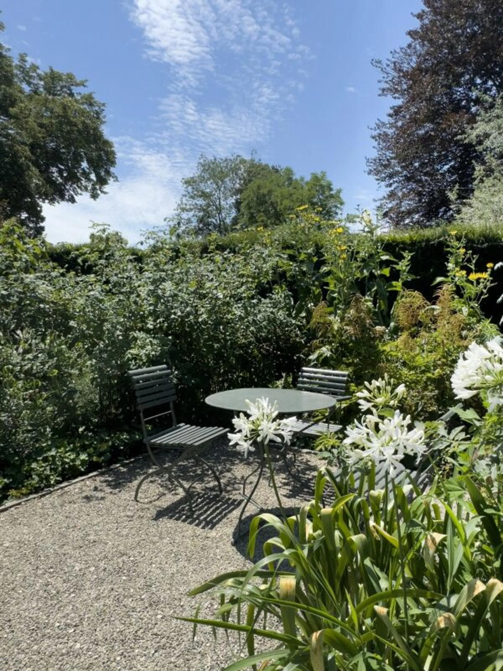 Image 29