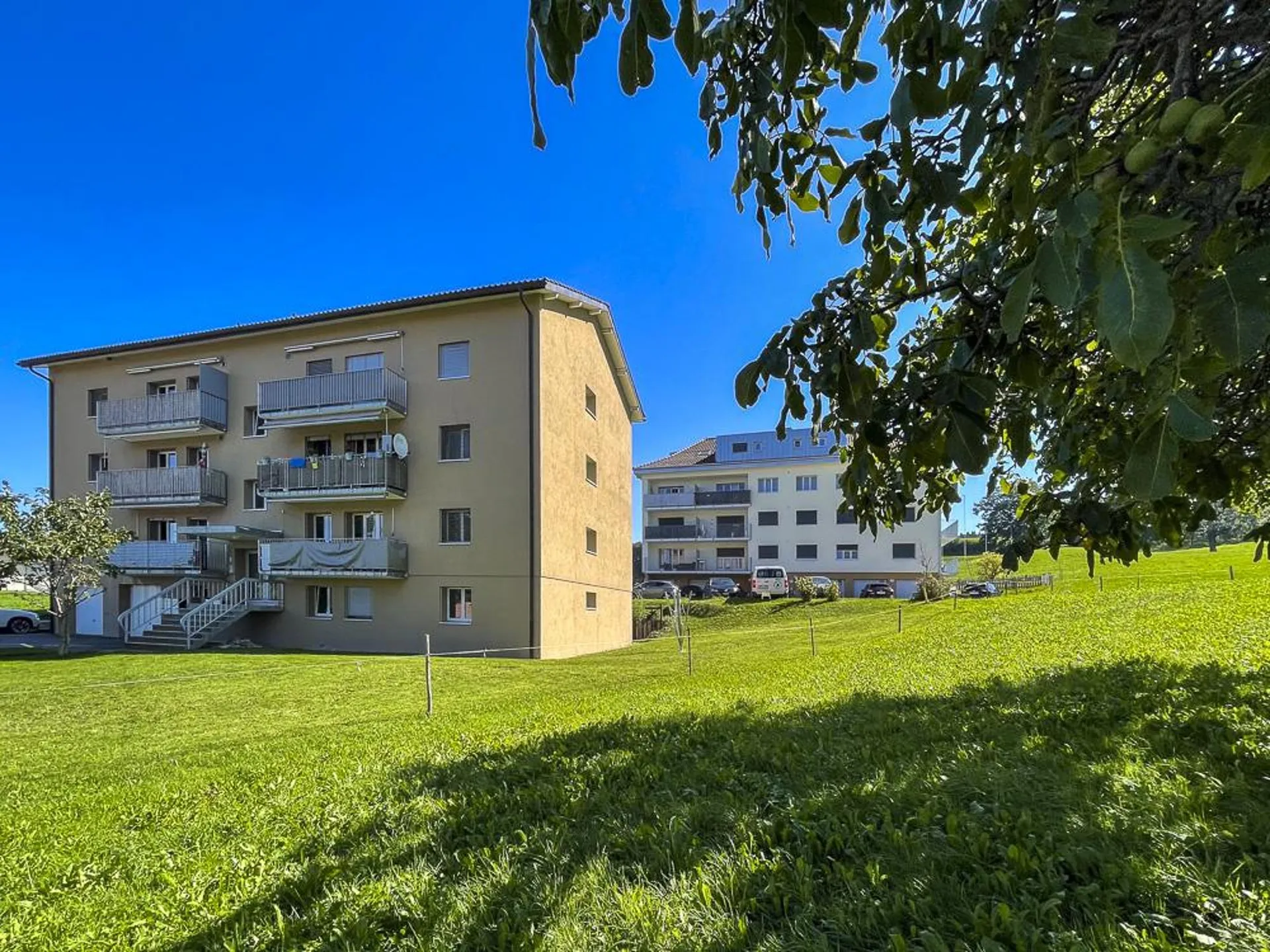 Renovated 3.5 room apartment in a quiet area
