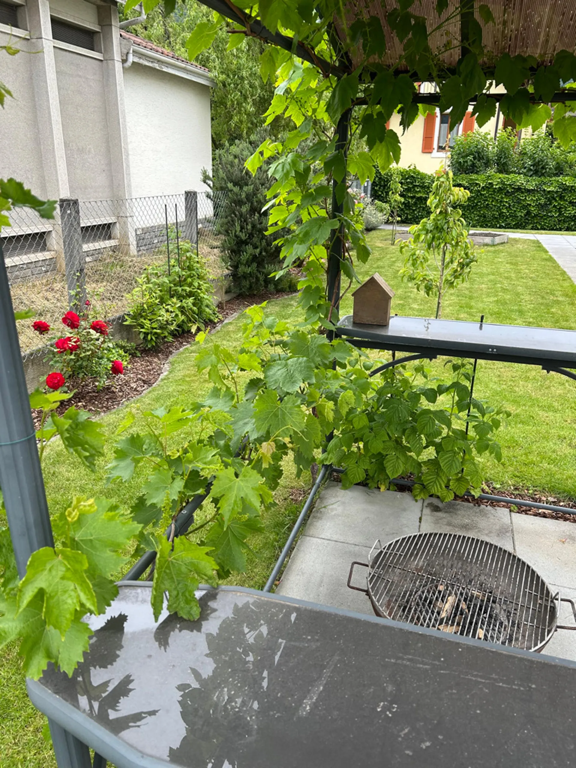 Bild 10