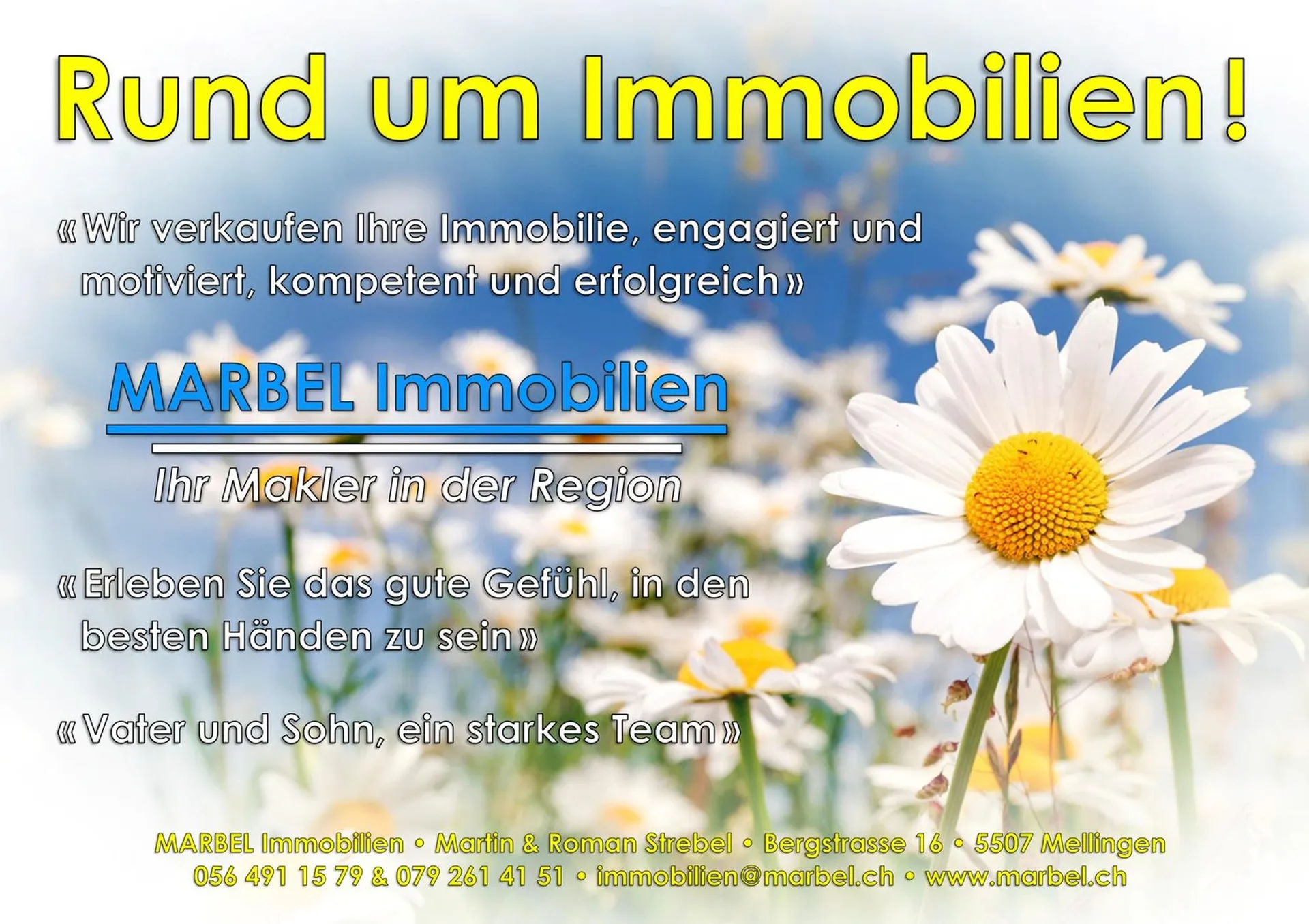 Immagine 14