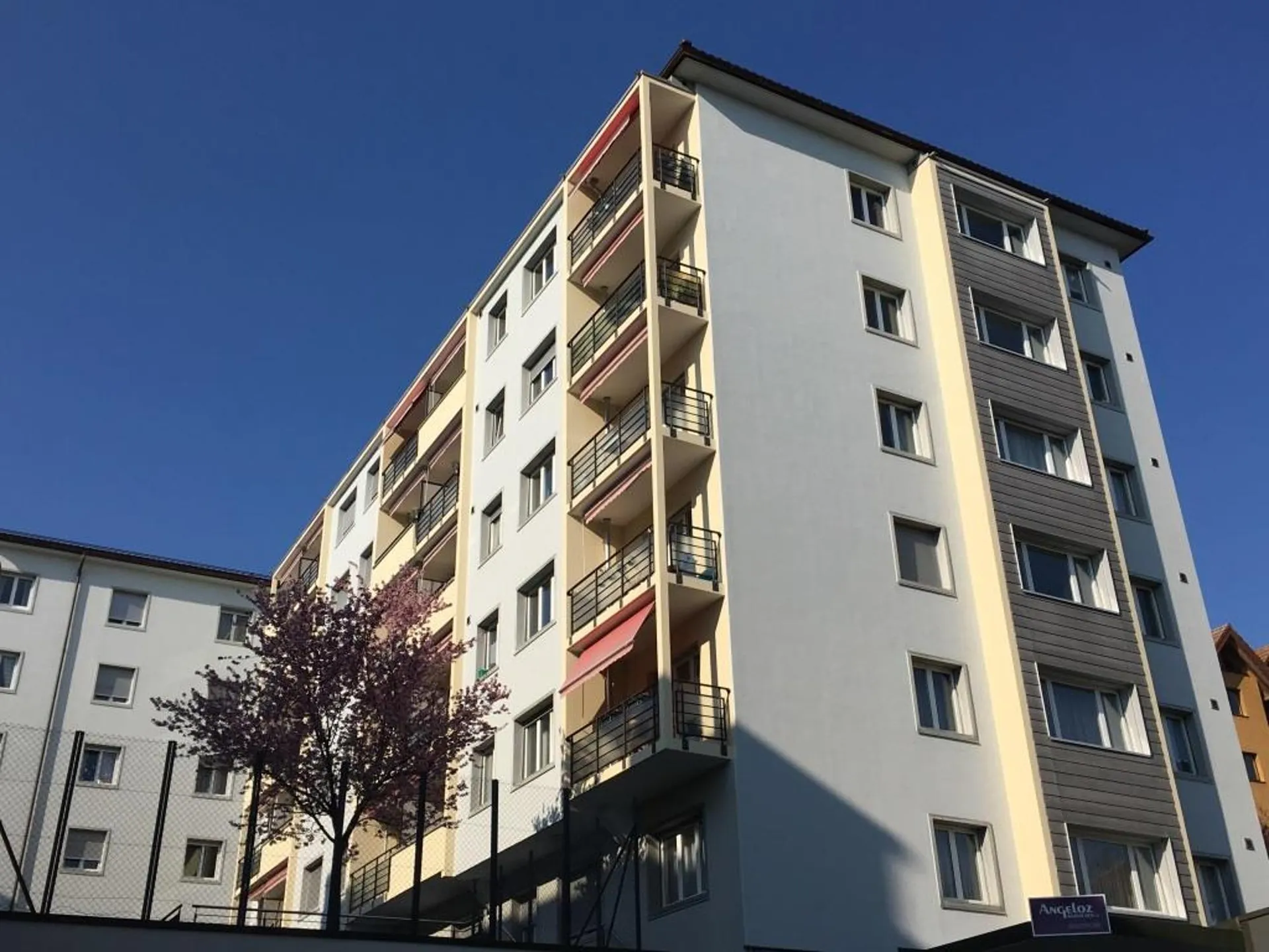 Appartement lumineux à Fribourg