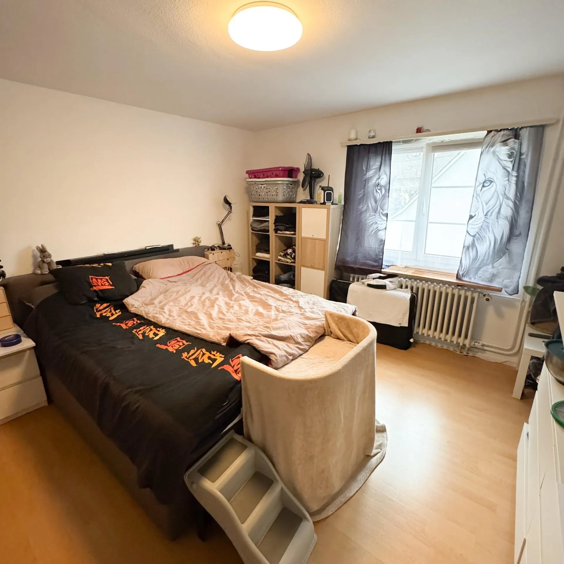 Bild 12