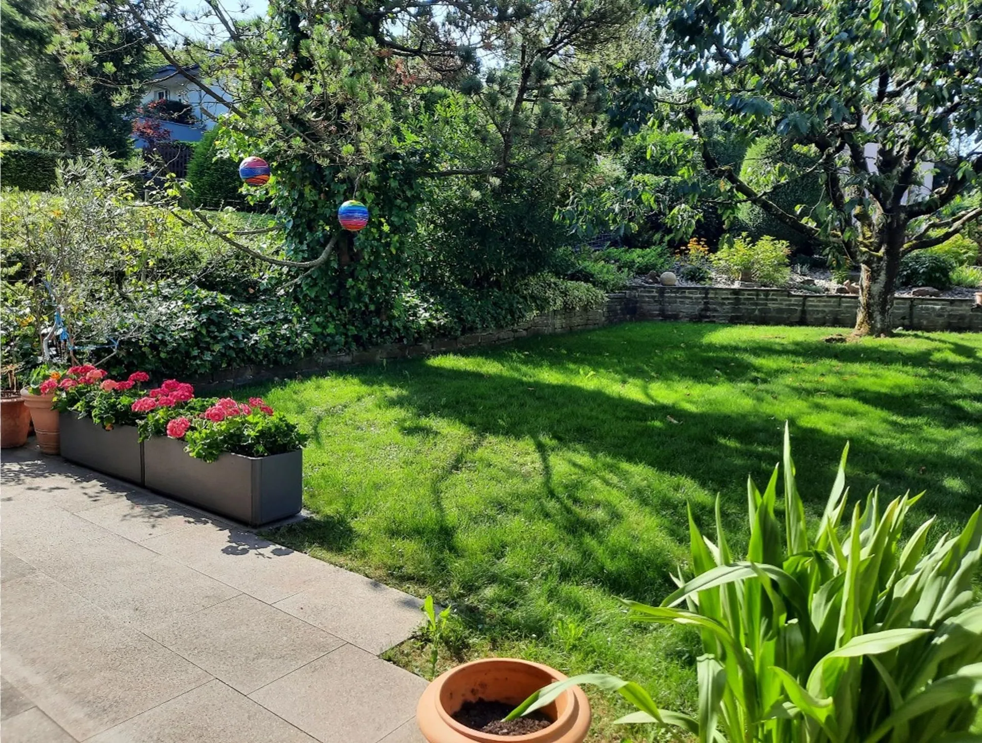 Image 13