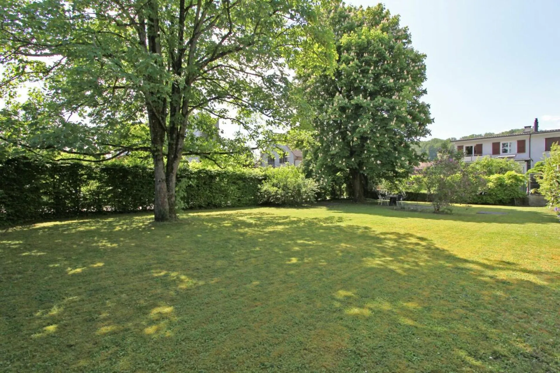 Image 31