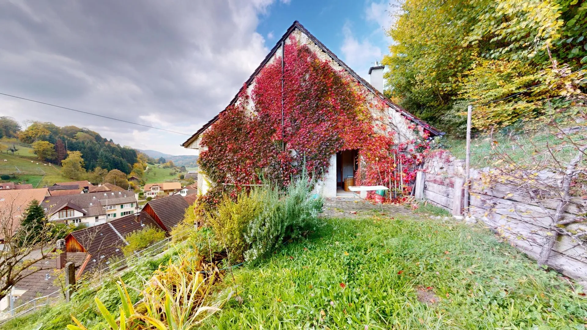 Bild 11