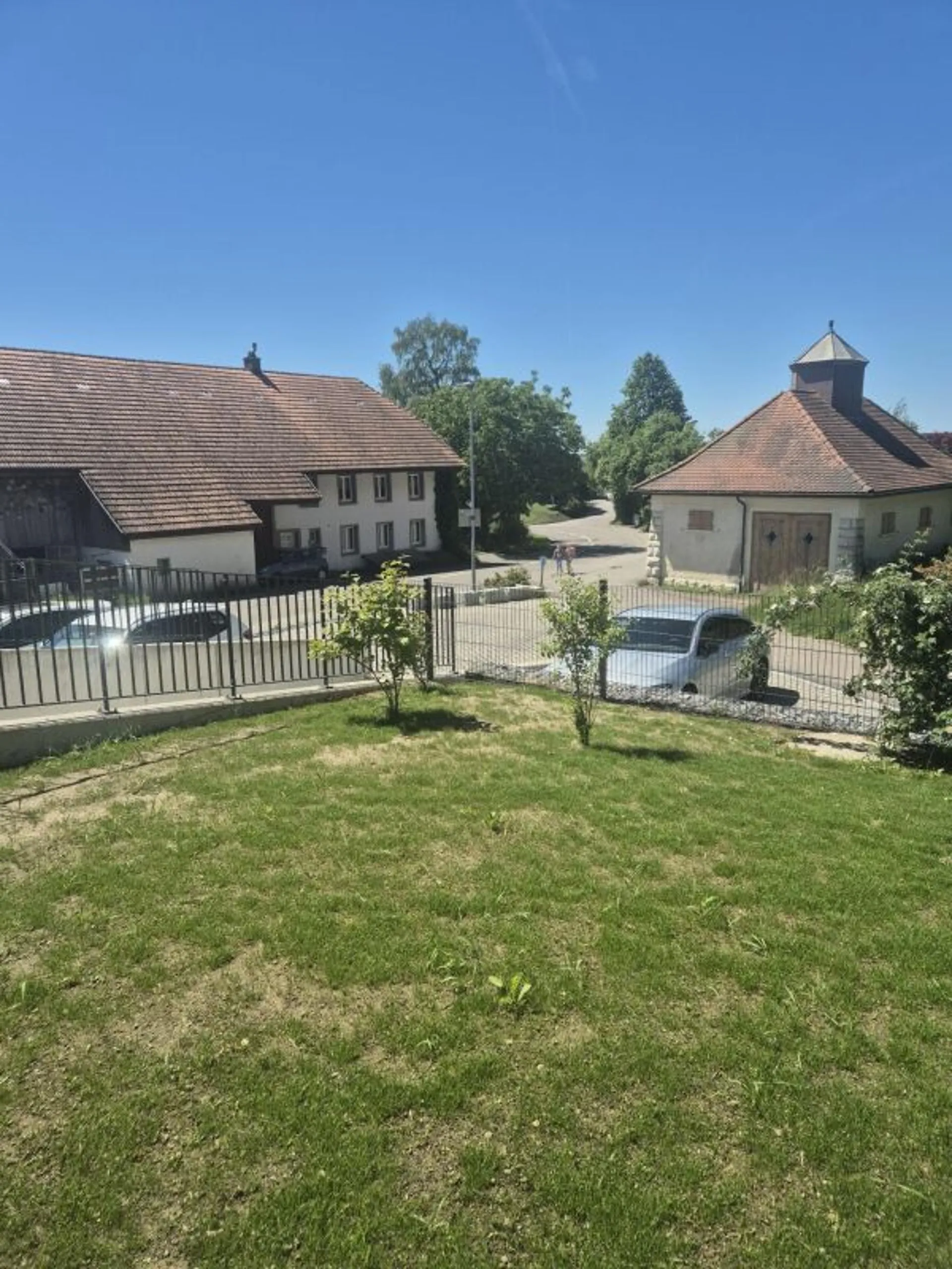 Image 11
