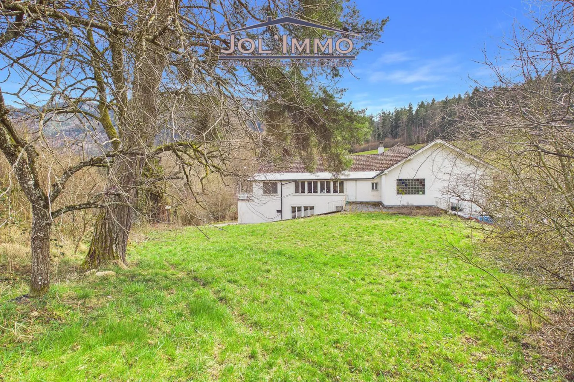 Propriété de caractère avec 3 appartements et terrain à bâtir à Perrefitte