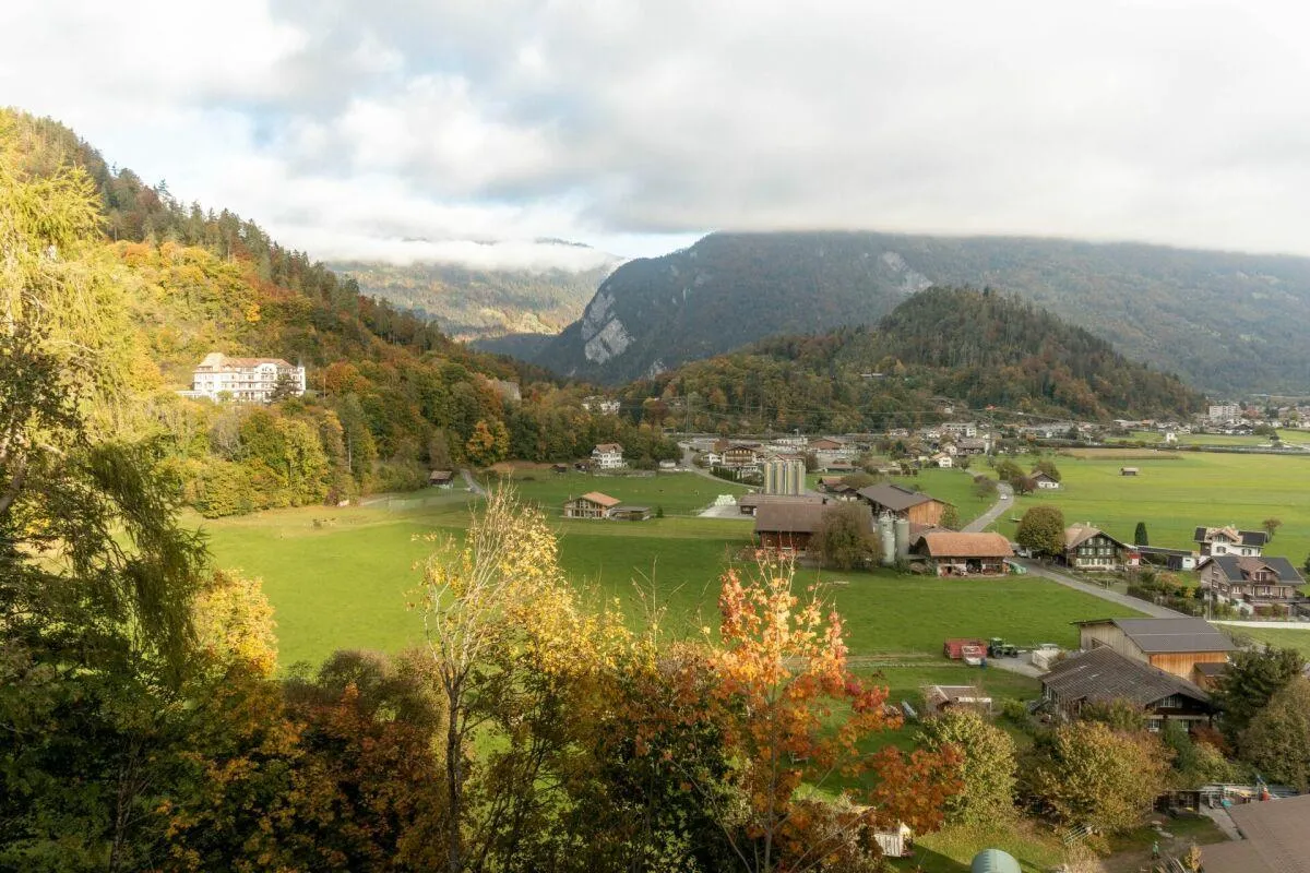 Image 12
