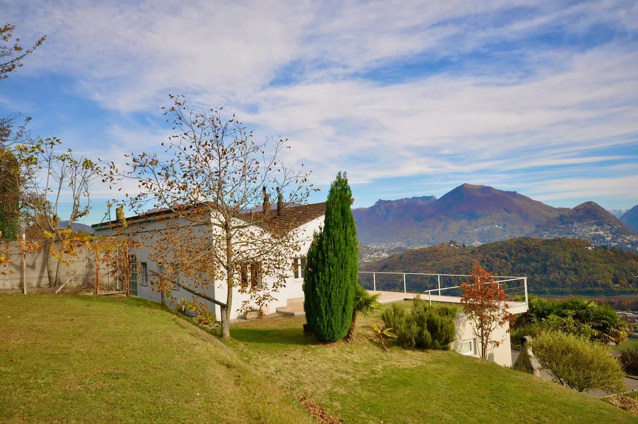Immagine 6