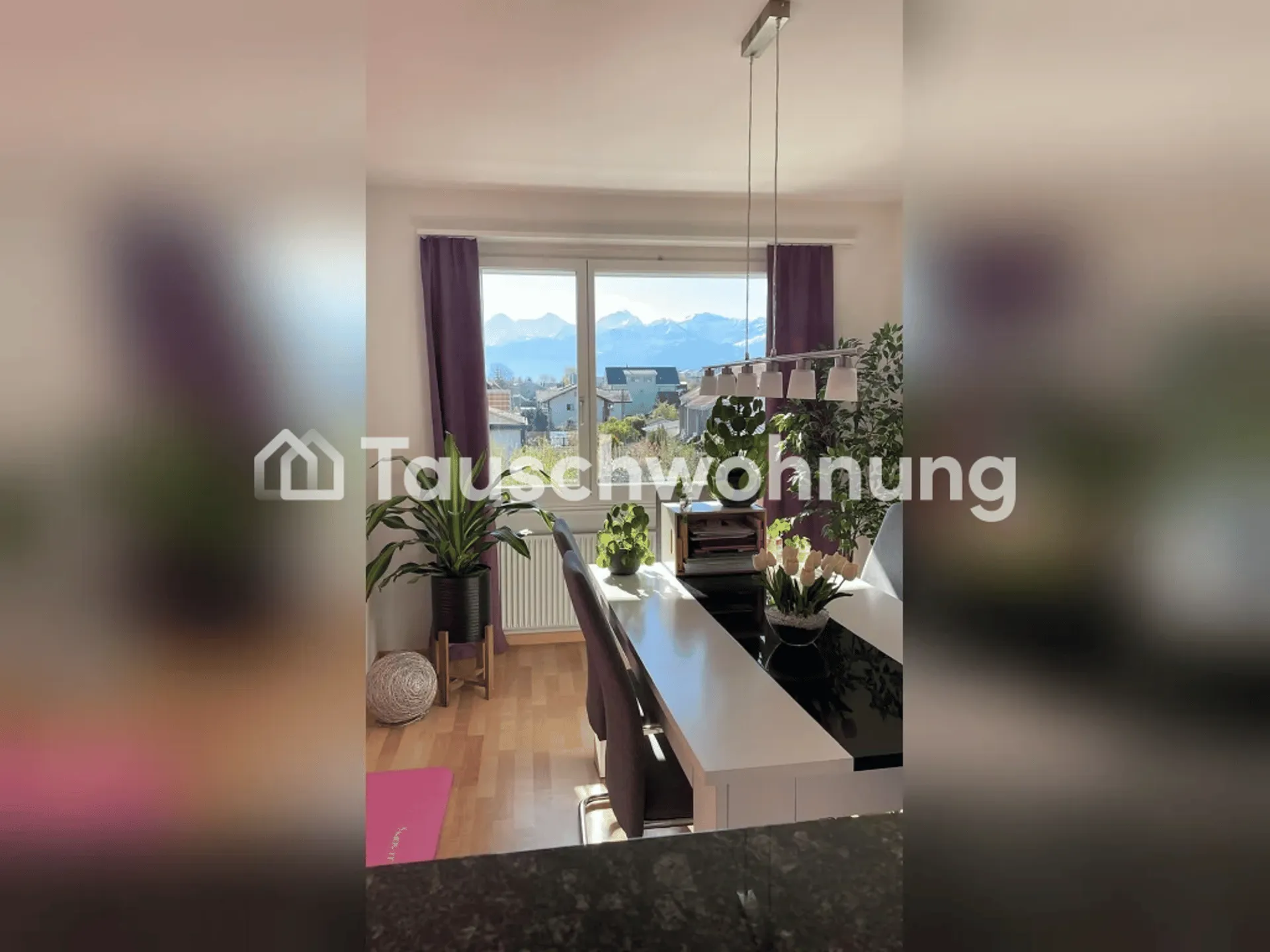 Tausche 3.5 ZI-Wohnung in Thun für Wohnung in Zürich