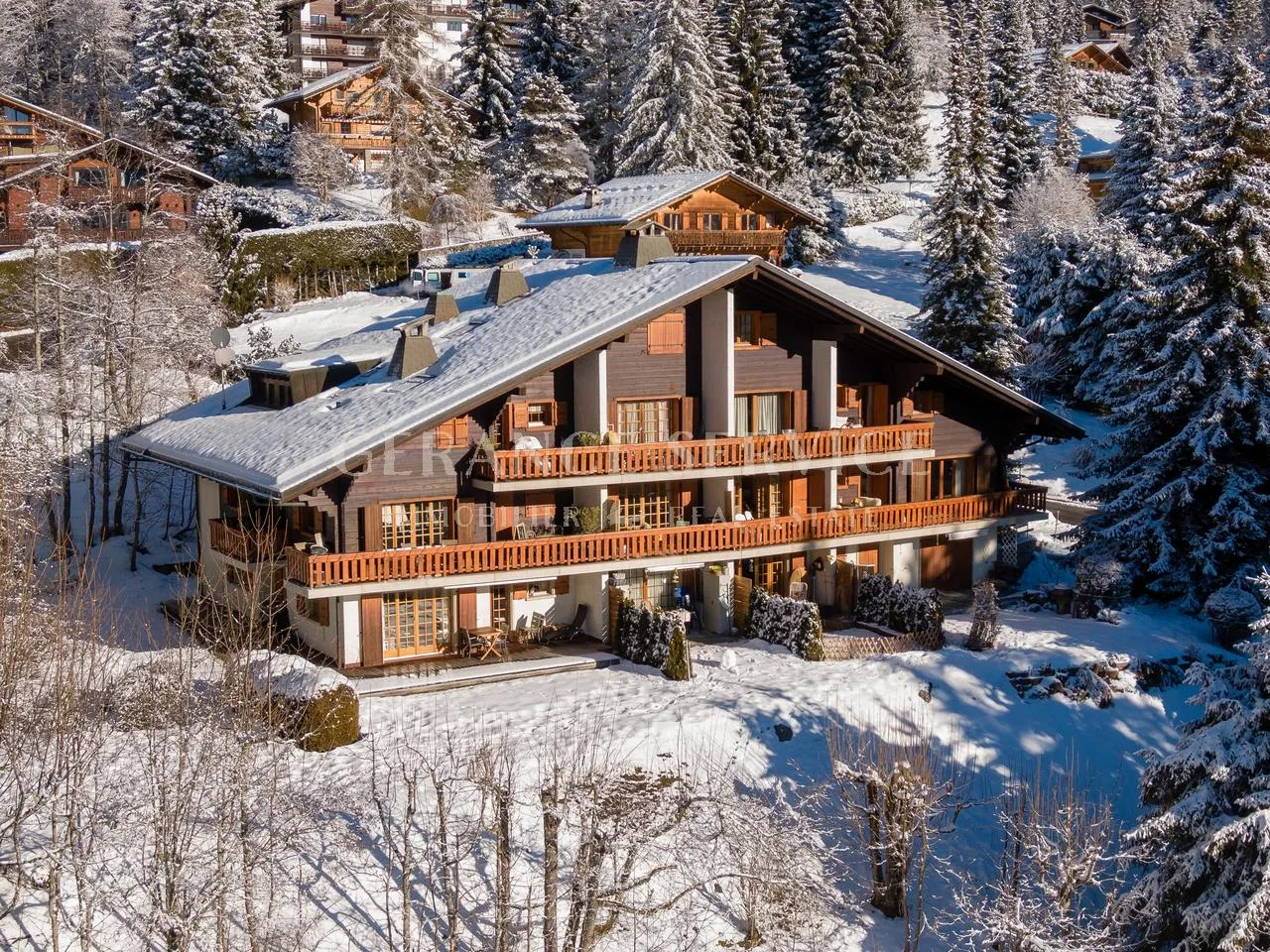 Dauphin 8
