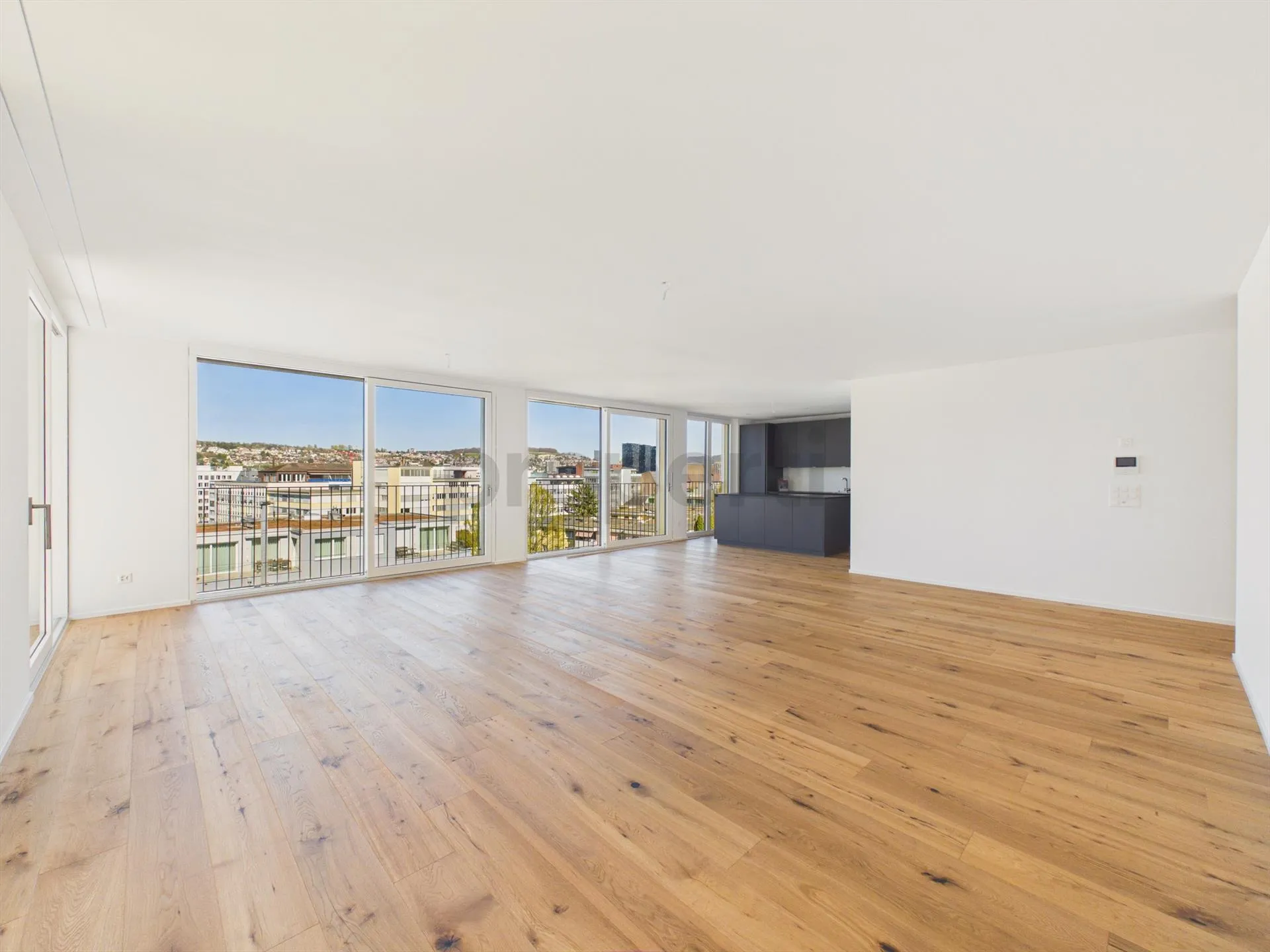 Moderne 4.5-Zimmer-Wohnung mit unverbauter Aussicht in Zürich Altst...