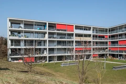 Helle 2.5 Zimmerwohnung zu vermieten!