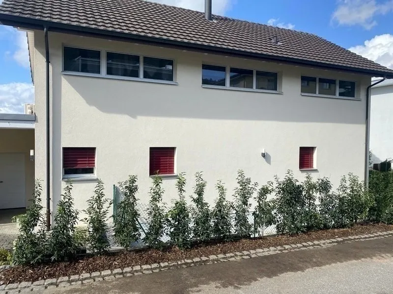 Image 19