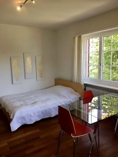 1 ZI-WOHNUNG IN LIESTAL (BL), MÖBLIERT