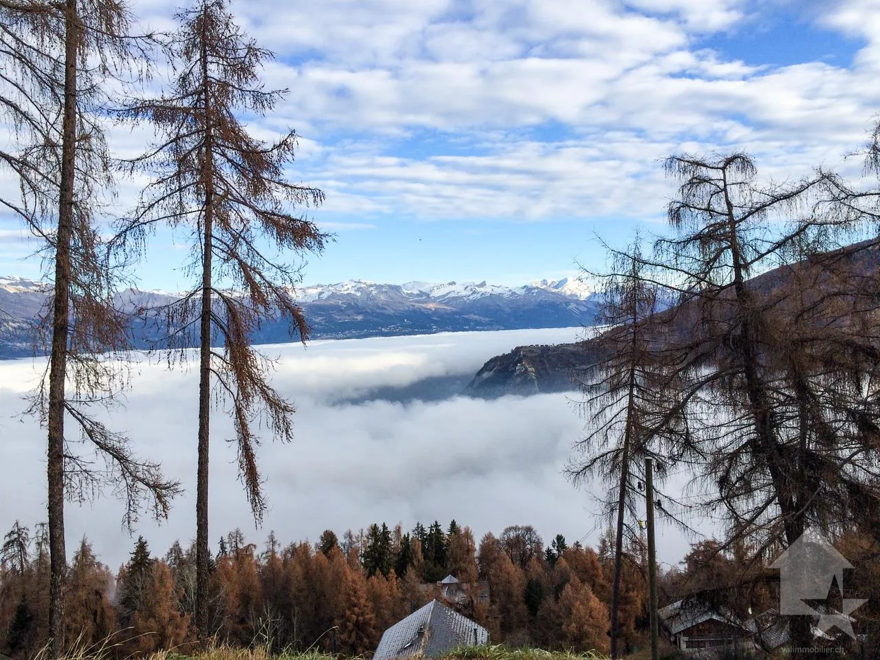 Bild 19