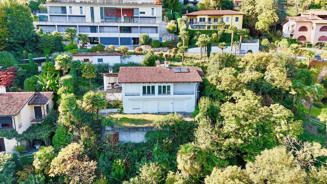 Immagine 2
