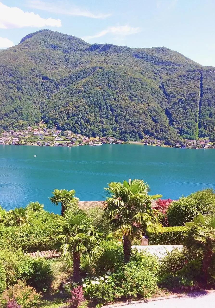 Immagine 7