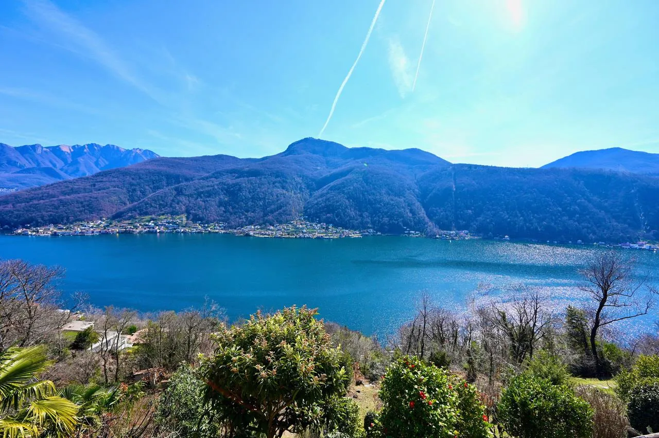 Immagine 4