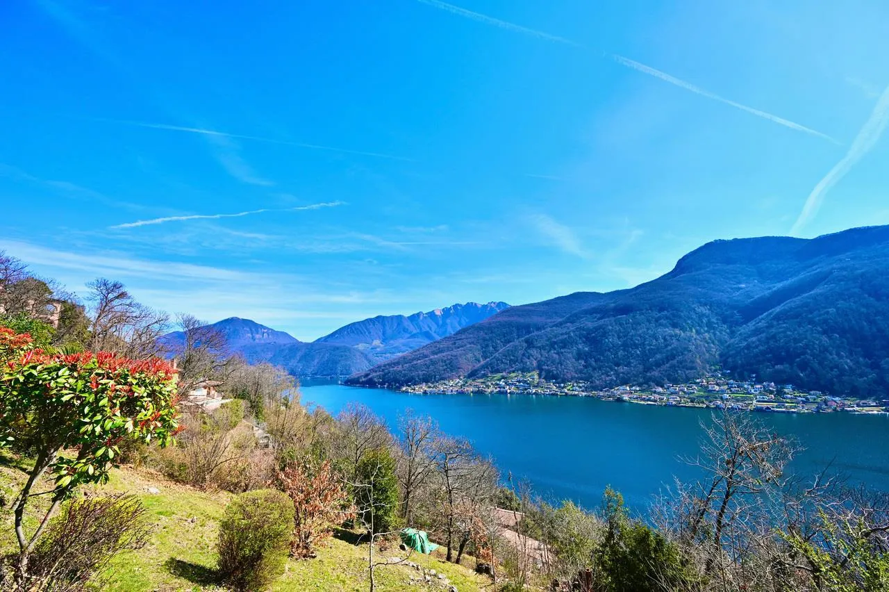 Immagine 5