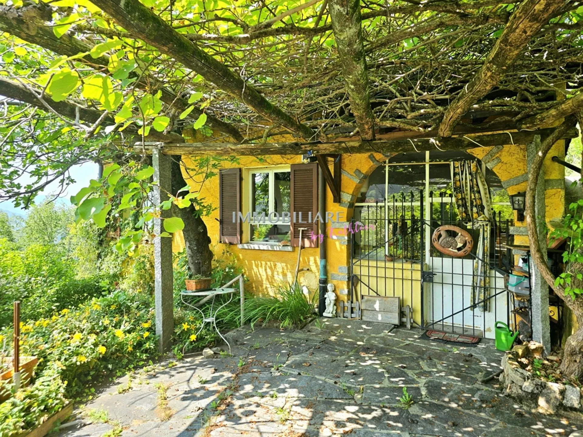 Image 9