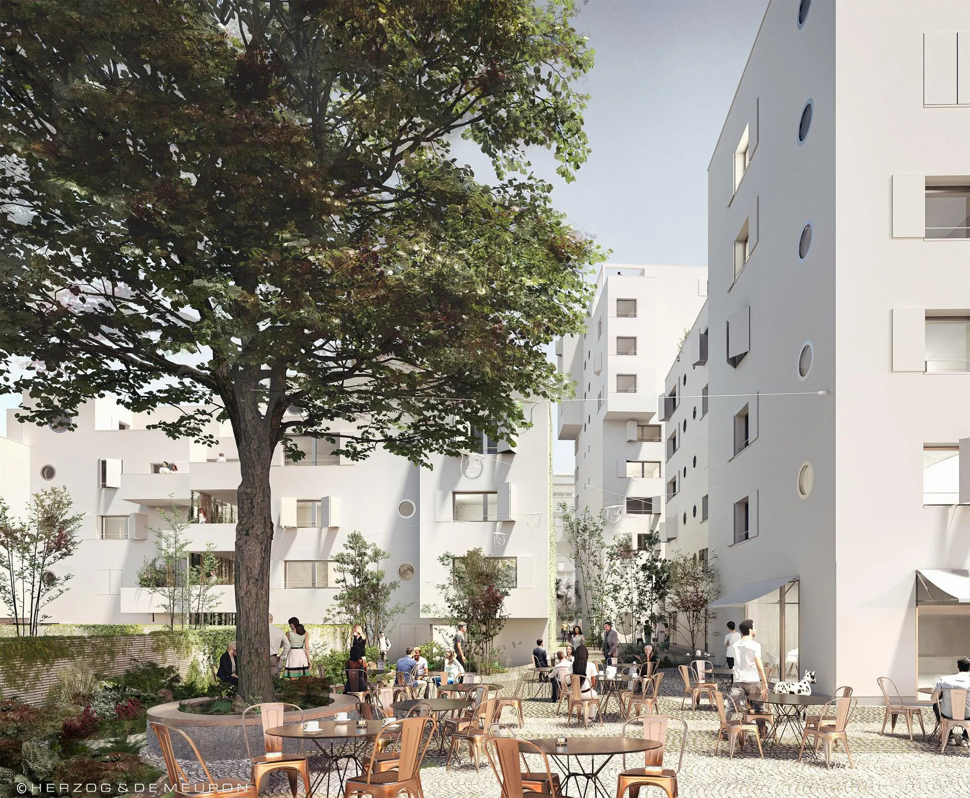 City-Nähe & Komfort - Wohnen mit Stil