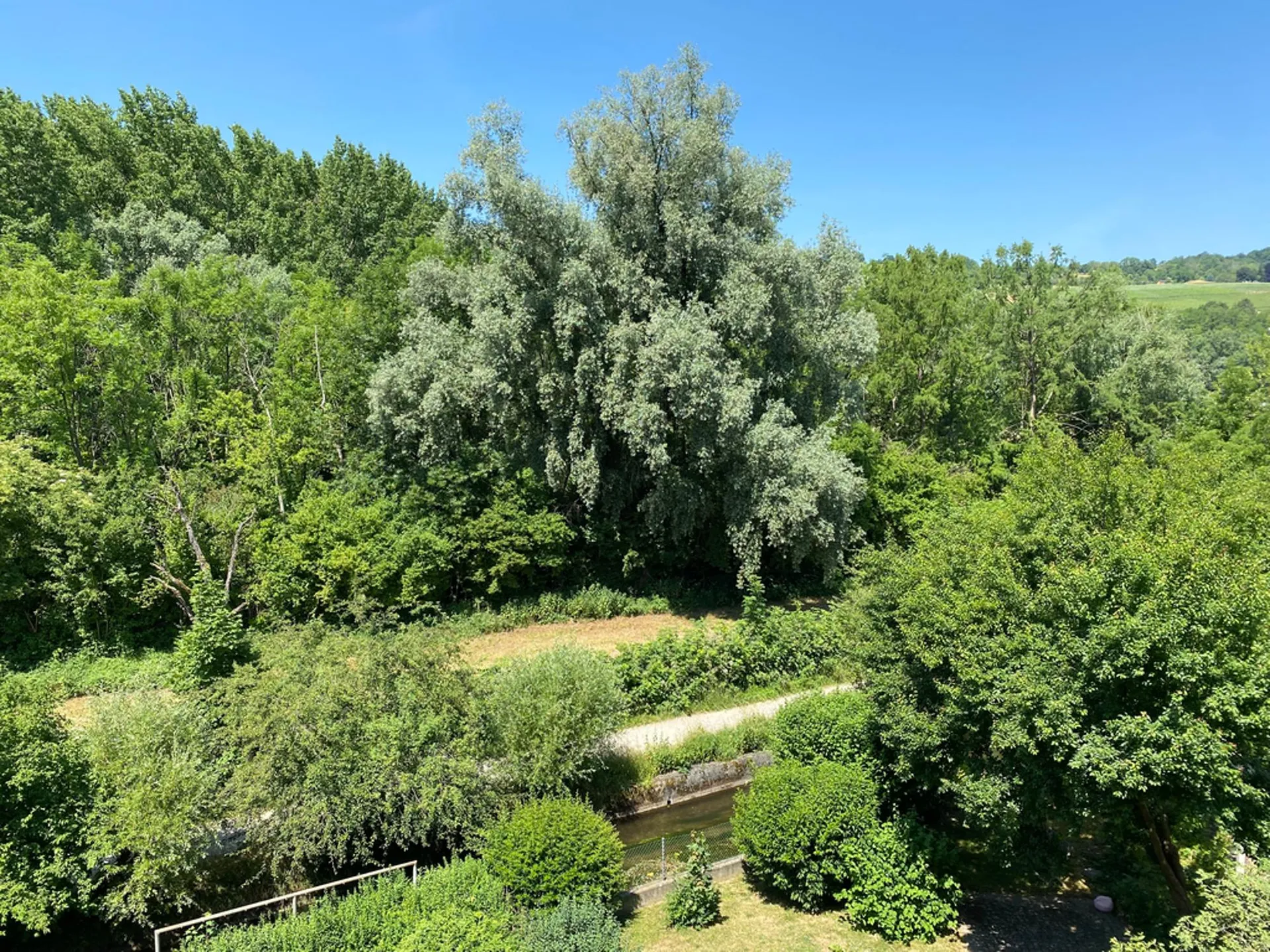Image 11