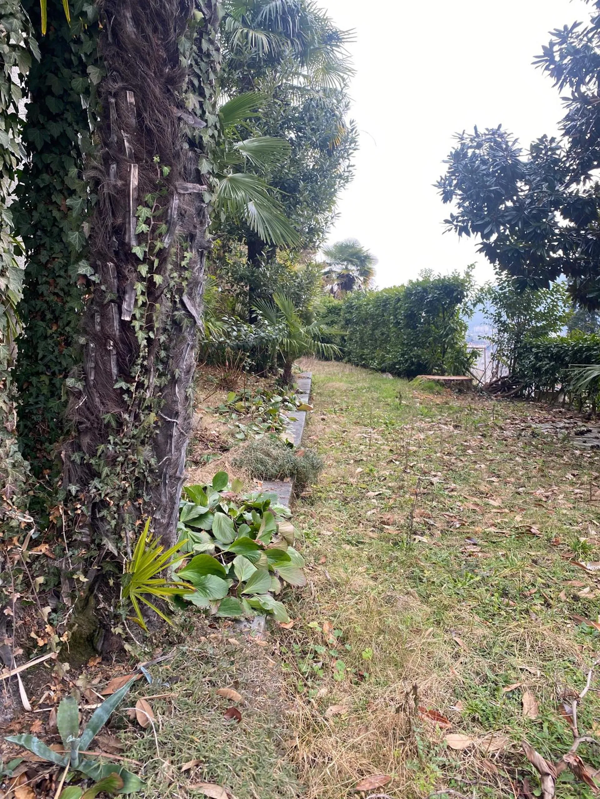 Image 14