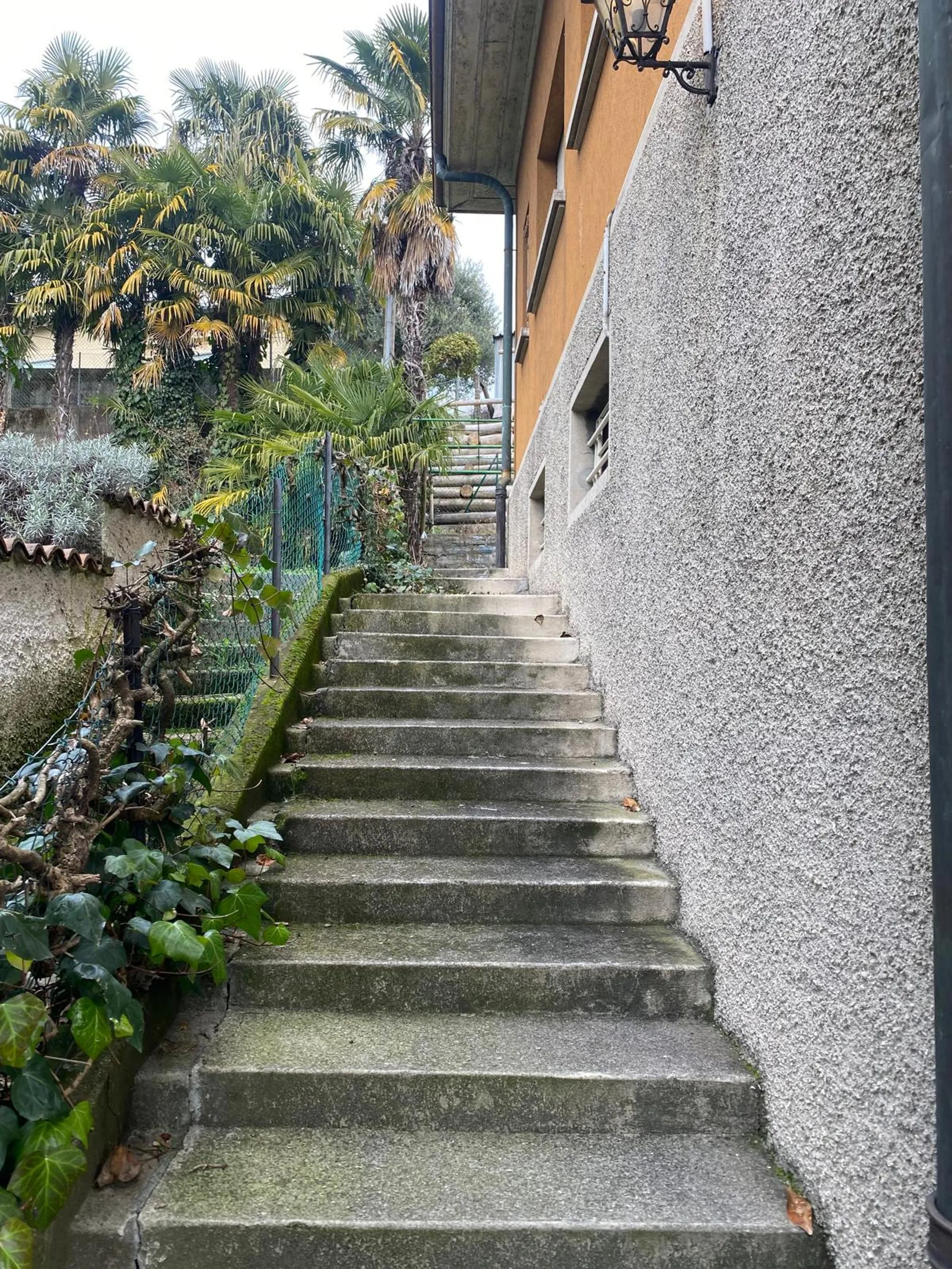 Image 16