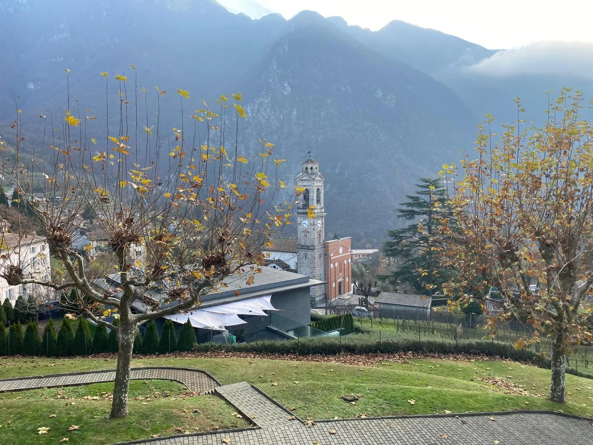 Image 12