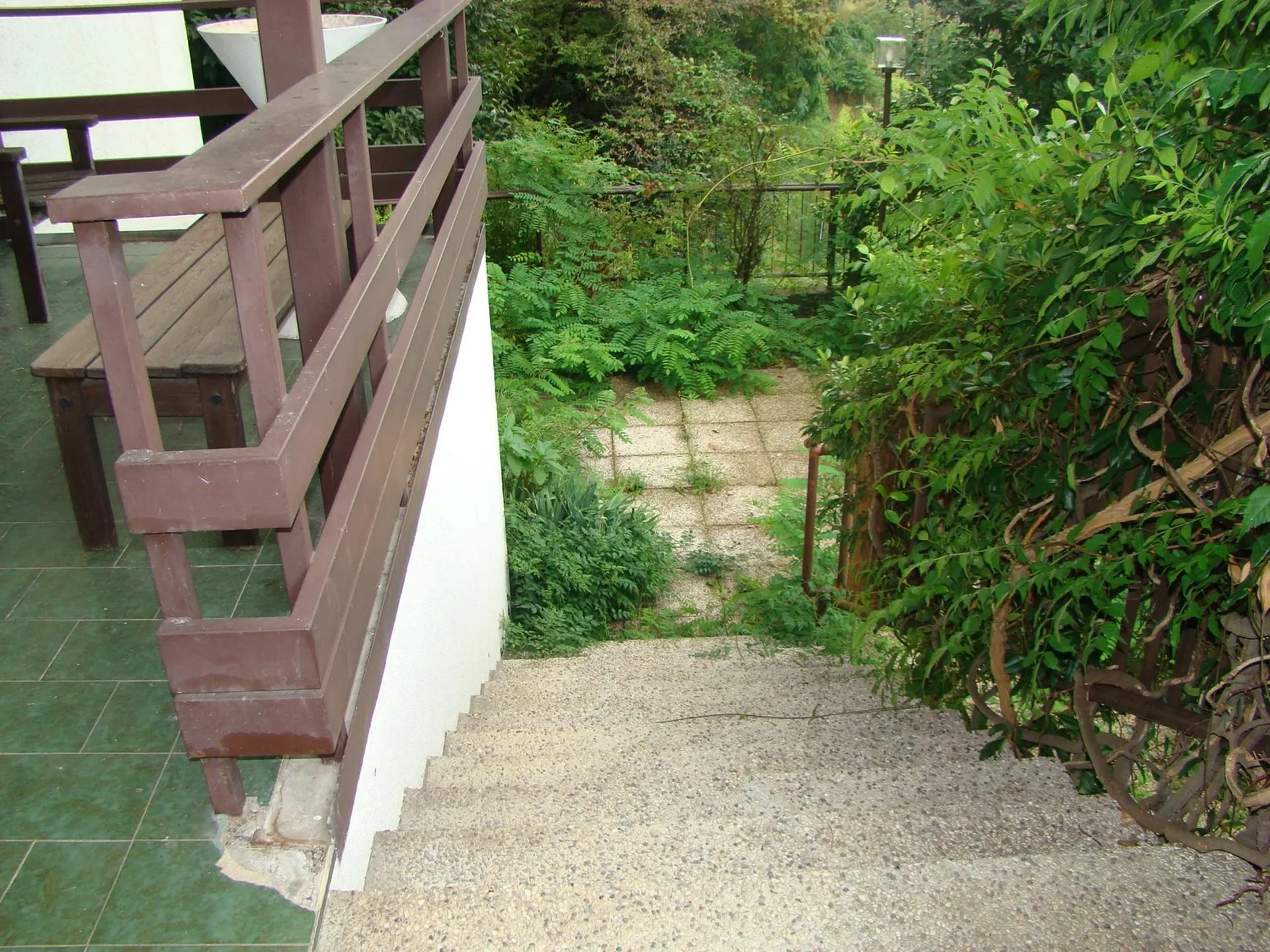 Image 20