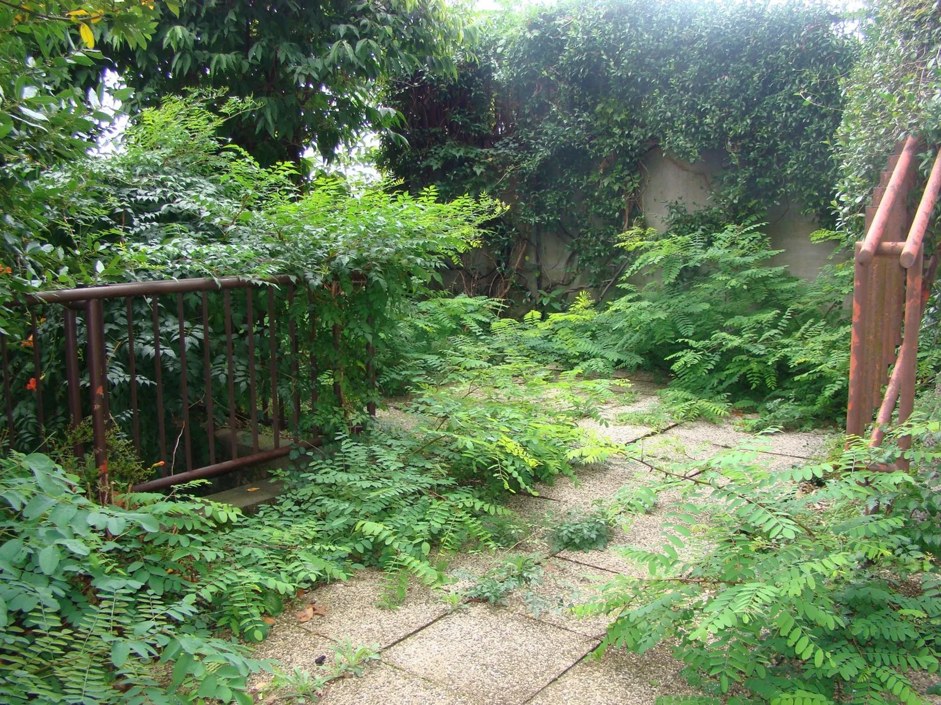 Image 28