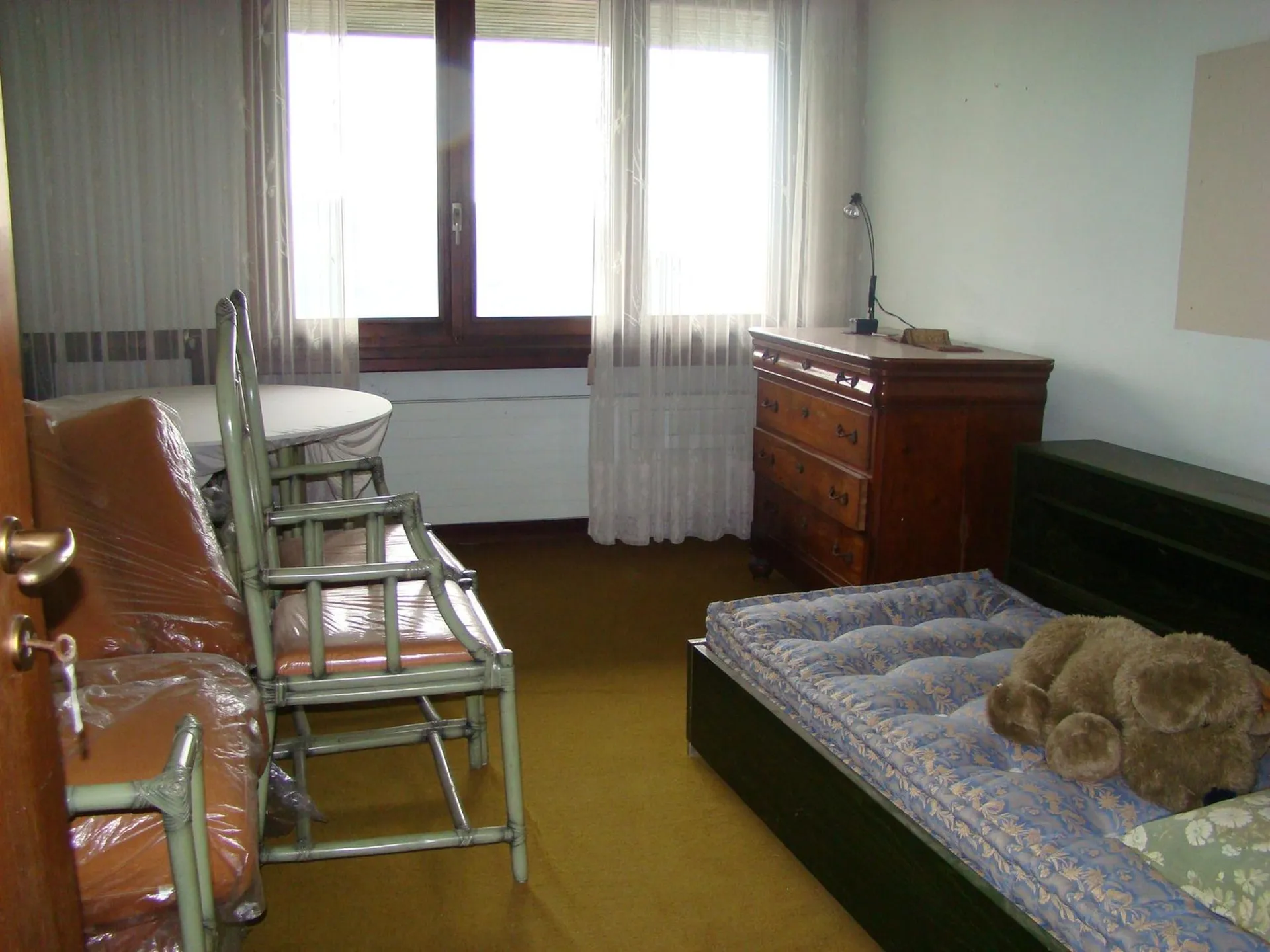 Image 11
