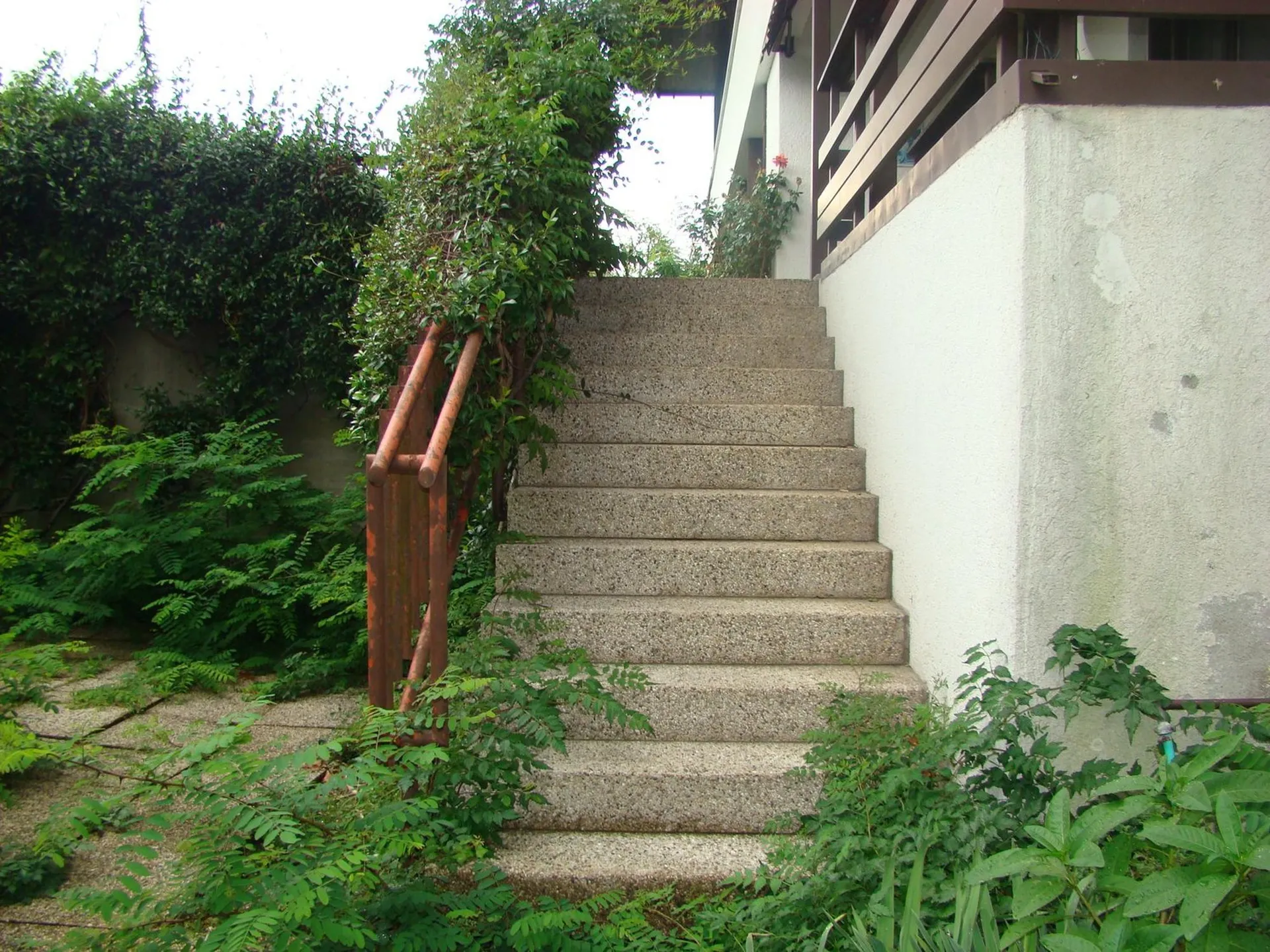 Image 21