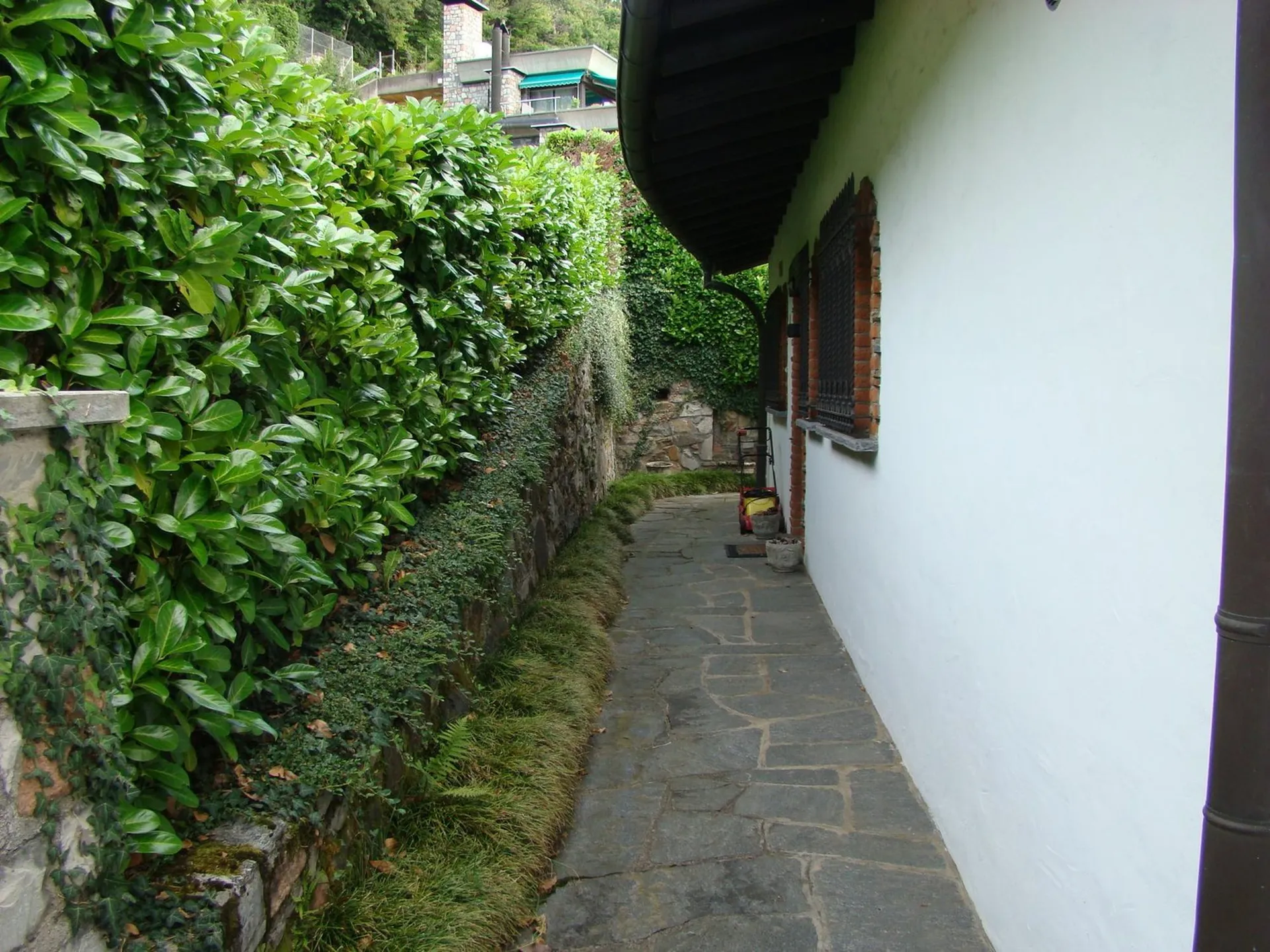 Image 10