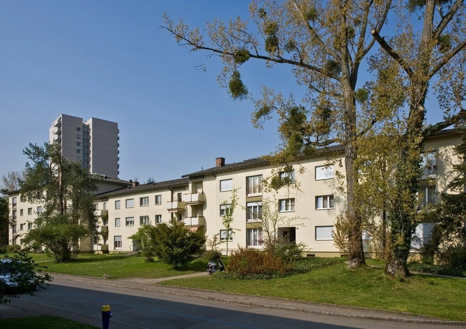 Gemütliche 3-Zimmerwohnung in Birsfelden gesucht?