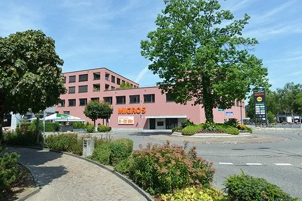 Hier blüht das Leben