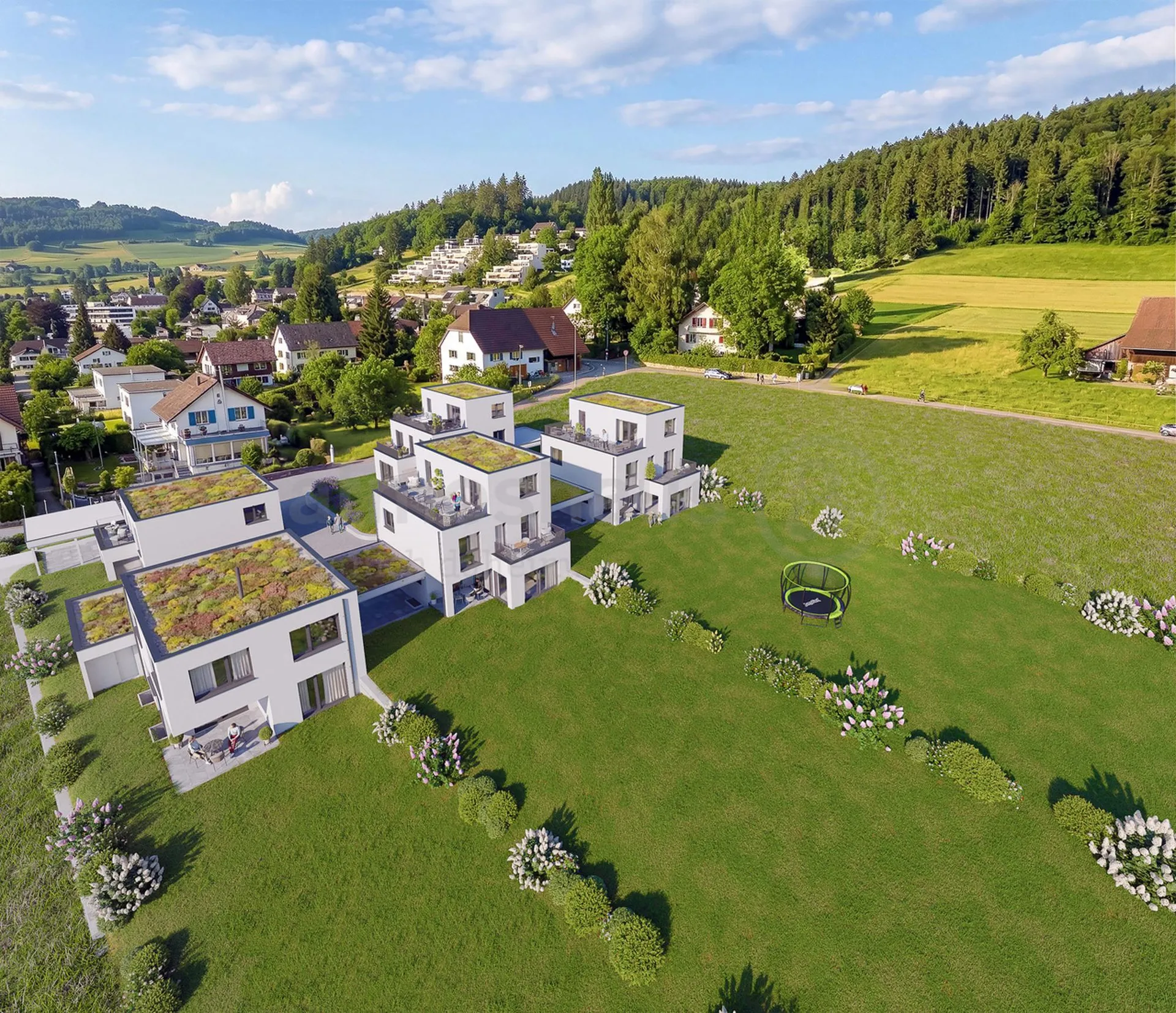 Seltene Chance: EFH in Reinach mit aussergewöhnlich viel Land